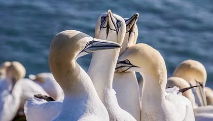 金沙娱乐|网球赛事v5.9.9